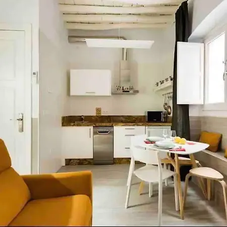Apartment Bonito Loft San Miguel Centro Catedral Wifi