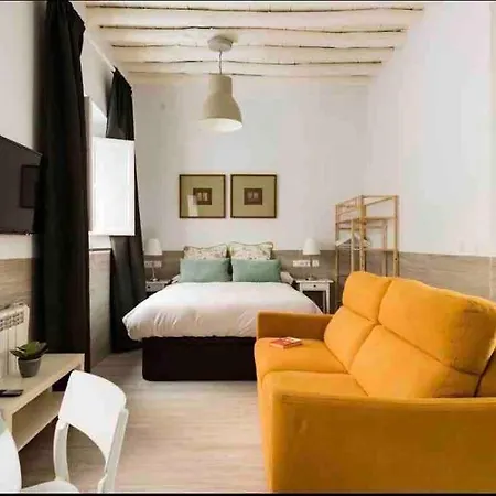 Bonito Loft San Miguel Centro Catedral Wifi * Grenade